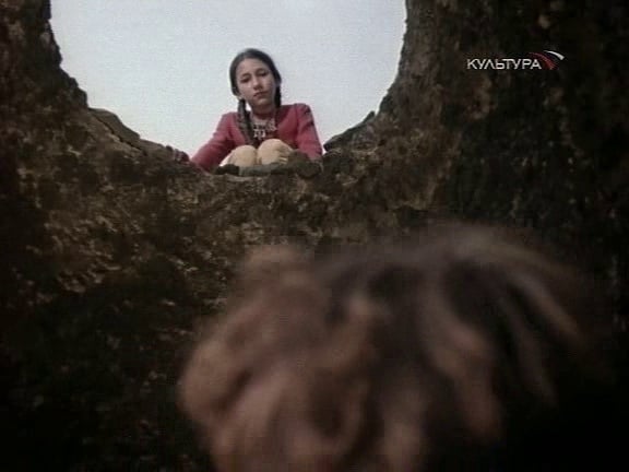 Кавказский пленник Кавказский пленник