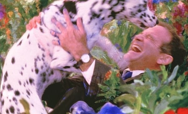 Куда приводят мечты Куда приводят мечты