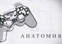 anatomiya-4