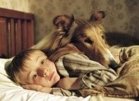Лэсси кадры Лэсси кадры