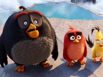 Сердитые Angry Birds кадры Сердитые Angry Birds кадры