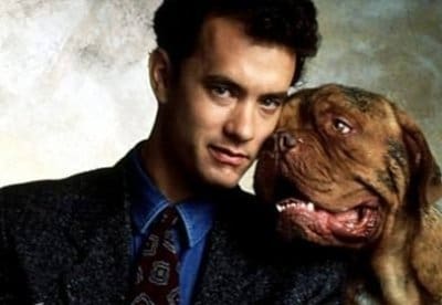 Тернер и Хуч фильм (1989), кадры, актеры, видео, трейлеры, отзывы и когда посмотреть | Yaom.ru кадр