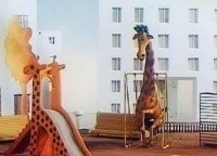В зоопарке - ремонт фильм (1987), кадры, актеры, видео, трейлеры, отзывы и когда посмотреть | Yaom.ru кадр