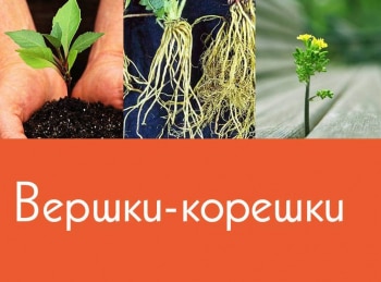 Вершки И Корешки Магазин Новосибирск Официальный Сайт