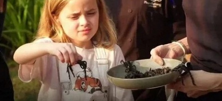 Джоли угостила детей сверчками кадры Джоли угостила детей сверчками кадры