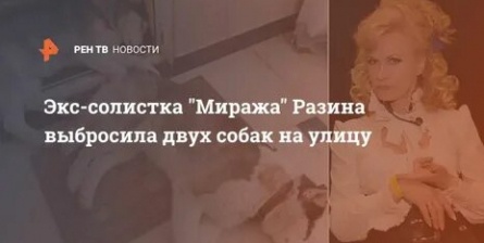 Экс солистка Миража Светлана Разина избавилась от двух собак кадры Экс солистка Миража Светлана Разина избавилась от двух собак кадры