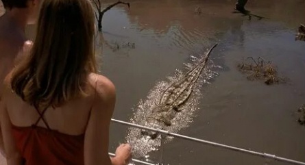 Крокодил кадры