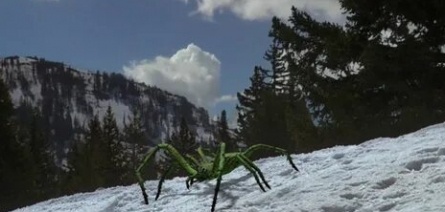 Ледяные пауки кадры