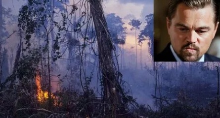Леонардо Ди Каприо включился в борьбу с лесными пожарами в Сибири кадры Леонардо Ди Каприо включился в борьбу с лесными пожарами в Сибири кадры