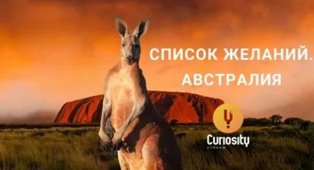 Леонтьев чуть не привез кенгуру из Австралии кадры Леонтьев чуть не привез кенгуру из Австралии кадры