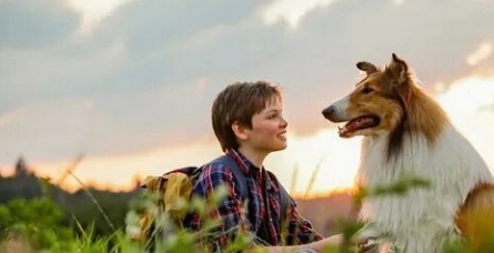 Лэсси и Ника кадры Лэсси и Ника кадры