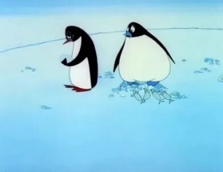 Пингвины кадры