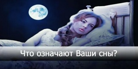 Толкование снов - если приснился крокодил кадры Толкование снов - если приснился крокодил кадры