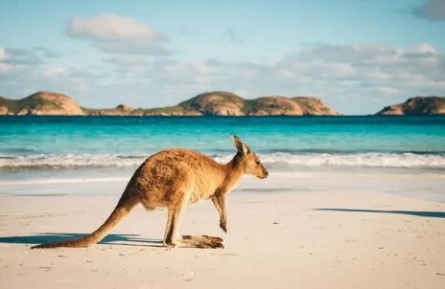 Вкусное путешествие по Австралии Квинсленд кадры