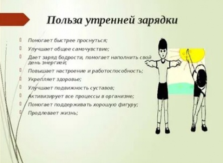 Зачем нужна утренняя зарядка? кадры Зачем нужна утренняя зарядка? кадры