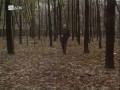 Георгий Юматов