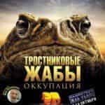 Тростниковые жабы: Оккупация