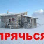 Прячься от Голливуда