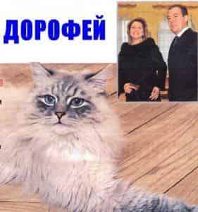 Пушистый питомец Дмитрия Медведева стал звездой Твиттера