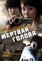 Владислав Котлярский и фильм Связь вещей (2011)