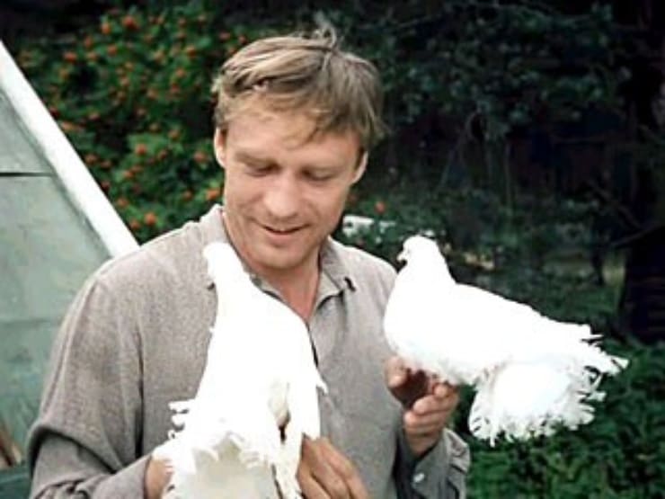 http://www.yaom.ru/img_tv/tvlyubov-i-golubi_img_0.jpg