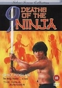Брент Хафф и фильм Девять смертей ниндзя (1985)