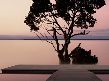 10-экопутешествий