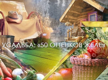 50 оттенков желе кадры 50 оттенков желе кадры