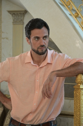 программа Домашний: Абрикосовая горечь 3 серия