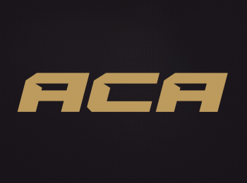 ACA-Гран-при-в-тяжелом-весе