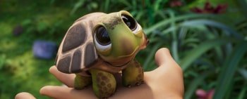 программа Хит: Айнбо Сердце Амазонии