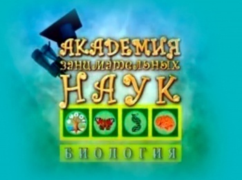 программа Радость моя: Академия занимательных наук Биология Яйцо Оса опылитель инжира Фикус бенгальский