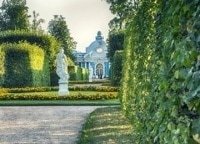 Ален Великолепный кадры