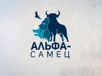 Альфа-самец-Белые-медведи