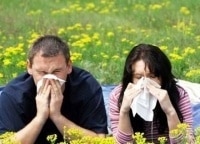 программа Здоровое ТВ: Аллергия: сбой матрицы 13 серия