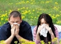 программа Здоровое ТВ: Аллергия: сбой матрицы 4 серия