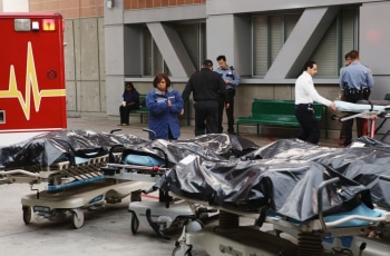 программа Fox Life: Анатомия страсти Четыре сезона в один день