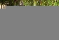 Античная-Олимпия-За-честь-и-оливковую-ветвь