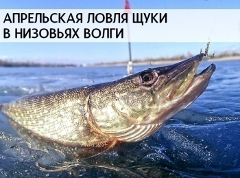 программа Охота: Апрельская ловля щуки в низовьях Волги