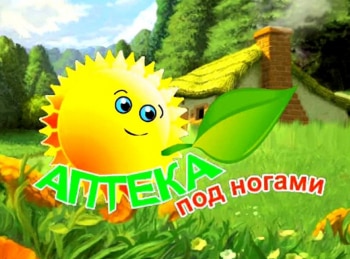 программа Тонус-ТВ: Аптека под ногами Календула