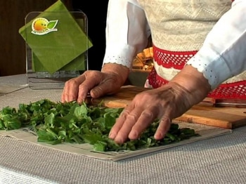 Аптека-под-ногами-Манжетка