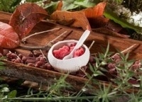 программа Russian Travel Guide (RTG): Авторская кухня ресторана Красный Лев