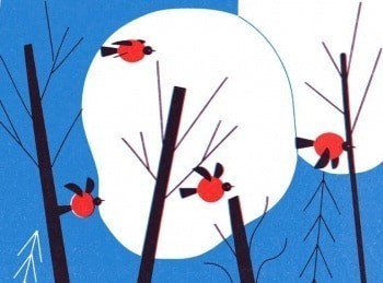 программа Карусель: Бельчонок и санки