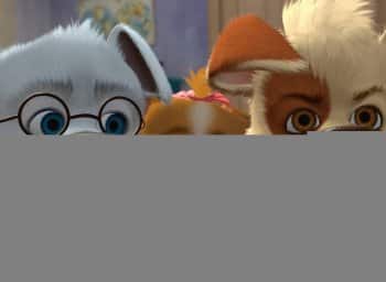 программа Малыш ТВ: Белка и Стрелка Озорная семейка Самый любимый