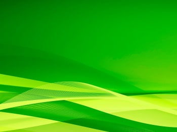 программа Беларусь 24: Белорусский стандарт