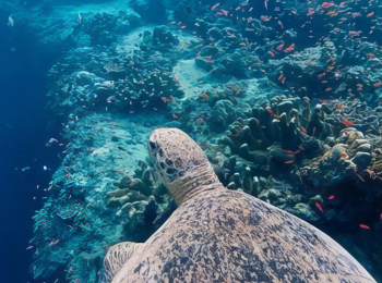 Бескрайние-океаны-2-серия