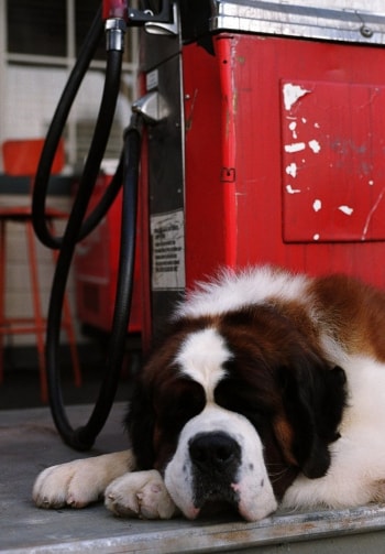 программа ТВ3: Бетховен 5