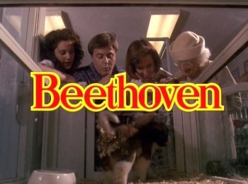 программа Премиальное SD: Бетховен
