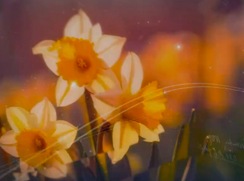 Библейские-обетования-Римлянам-15:13