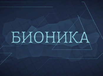 программа Техно 24: Бионика Амортизация